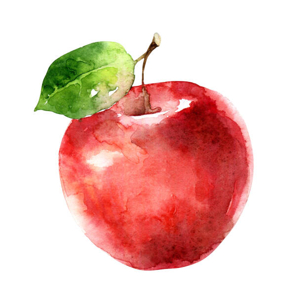 りんご のイラスト素材 林檎のイラスト