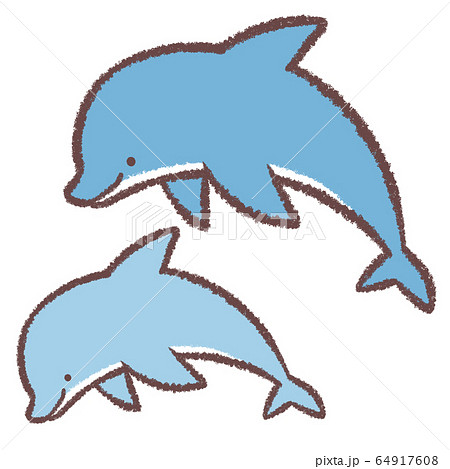 イルカはどのような生き物 生態 特徴 種類などイルカについて解説 イルカのイラスト簡単